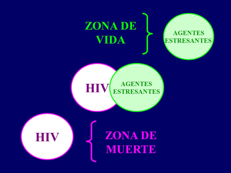 HIV HIV ZONA DE VIDA ZONA DE MUERTE AGENTES ESTRESANTES AGENTES
