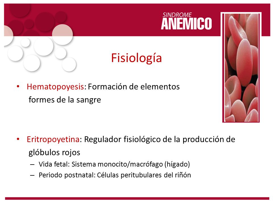 Fisiología Hematopoyesis: Formación de elementos formes de la sangre