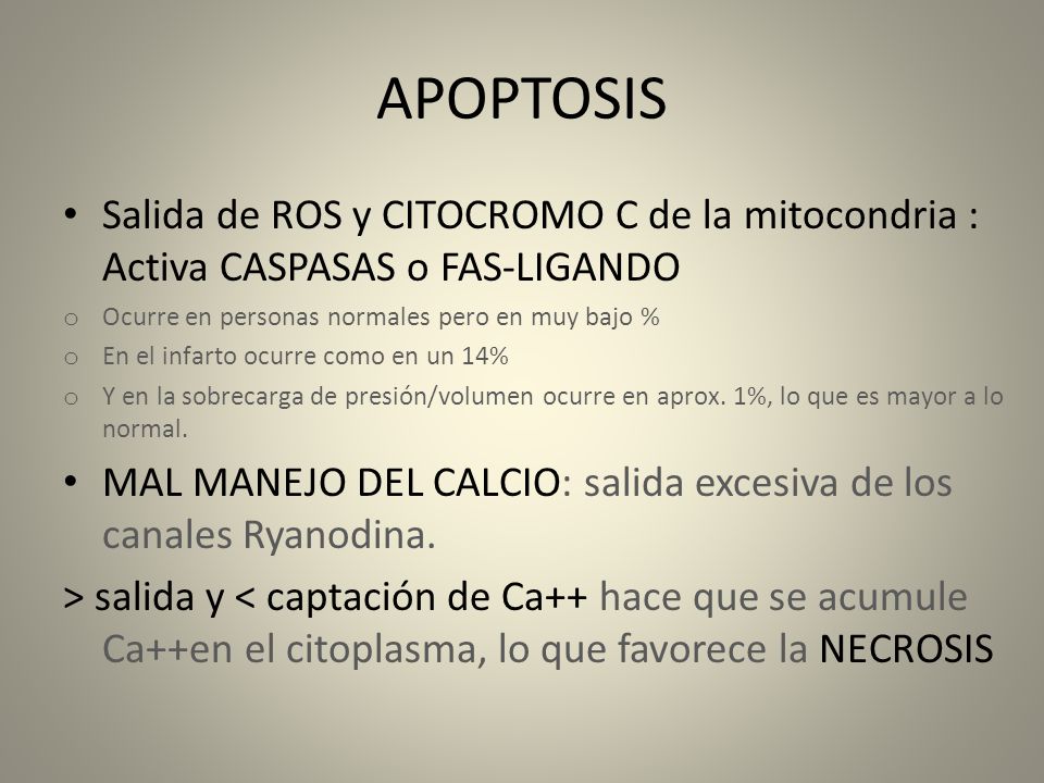 APOPTOSIS Salida de ROS y CITOCROMO C de la mitocondria : Activa CASPASAS o FAS-LIGANDO. Ocurre en personas normales pero en muy bajo %