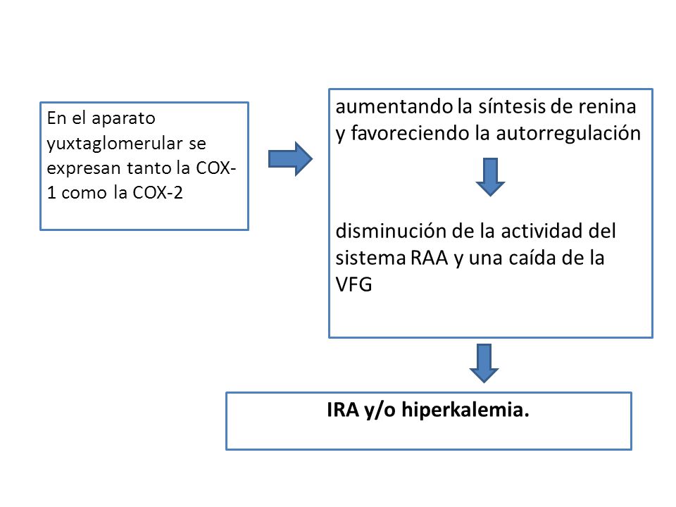 aumentando la síntesis de renina y favoreciendo la autorregulación