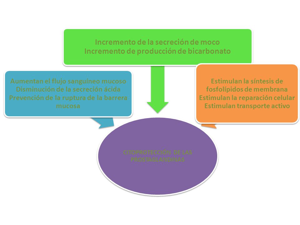 CITOPROTECCIÓN DE LAS PROSTAGLANDINAS
