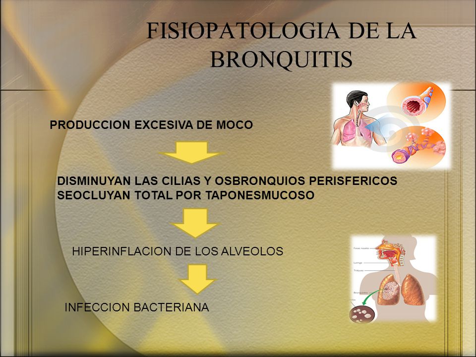 FISIOPATOLOGIA DE LA BRONQUITIS
