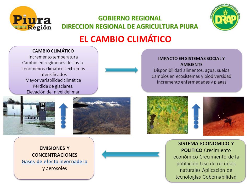 EL CAMBIO CLIMÁTICO CAMBIO CLIMÁTICO. Incremento temperatura. Cambio en regímenes de lluvia. Fenómenos climáticos extremos intensificados.