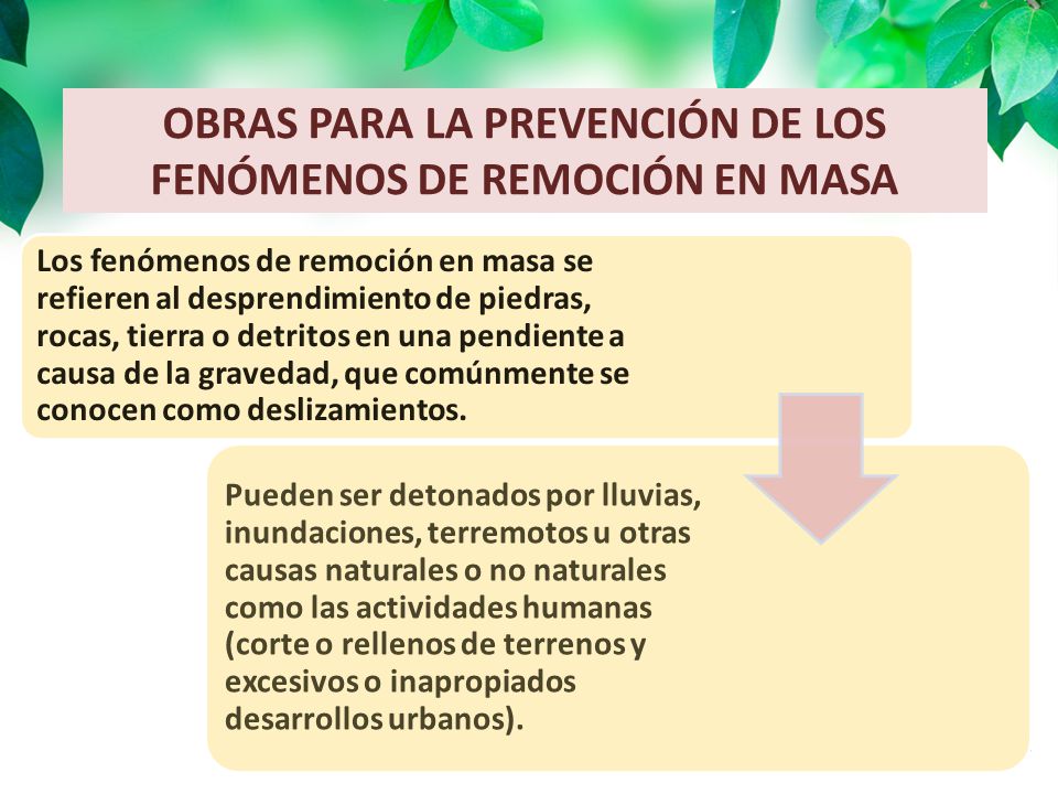 OBRAS PARA LA PREVENCIÓN DE LOS FENÓMENOS DE REMOCIÓN EN MASA