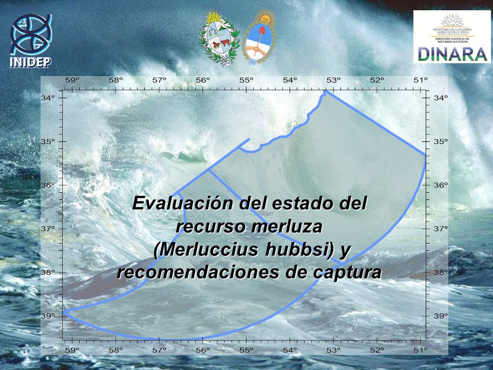 Evaluación del estado del recurso merluza (Merluccius hubbsi) y recomendaciones de captura