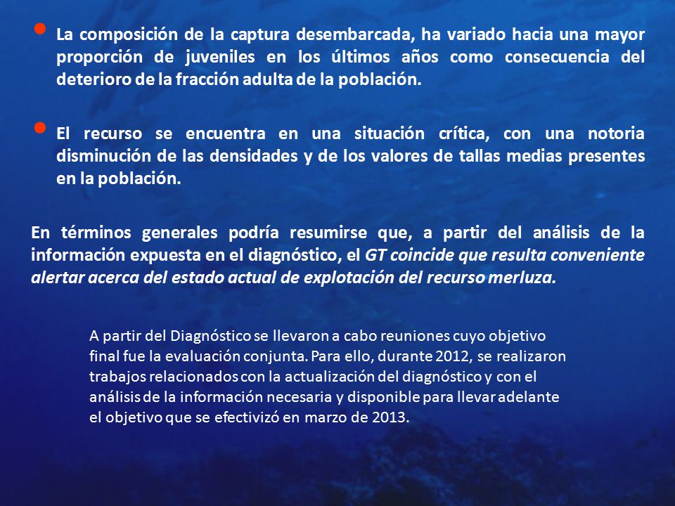 La composición de la captura desembarcada, ha variado hacia una mayor proporción de juveniles en los últimos años como consecuencia del deterioro de la fracción adulta de la población.