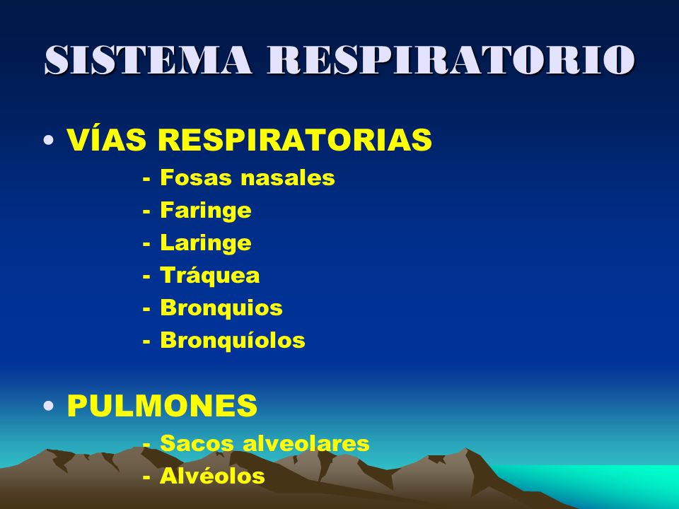 SISTEMA RESPIRATORIO VÍAS RESPIRATORIAS PULMONES Fosas nasales Faringe