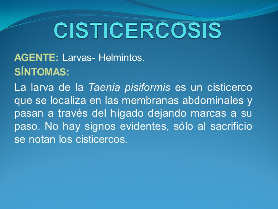 CISTICERCOSIS AGENTE: Larvas- Helmintos. SÍNTOMAS: