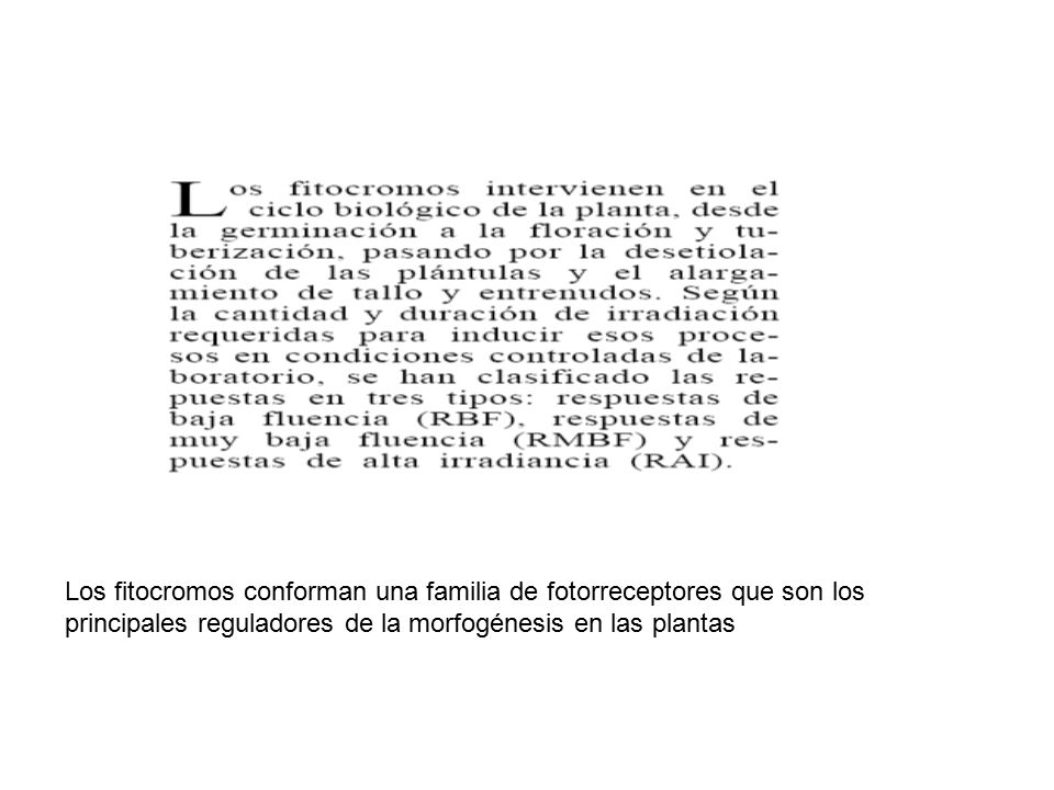 Los fitocromos conforman una familia de fotorreceptores que son los