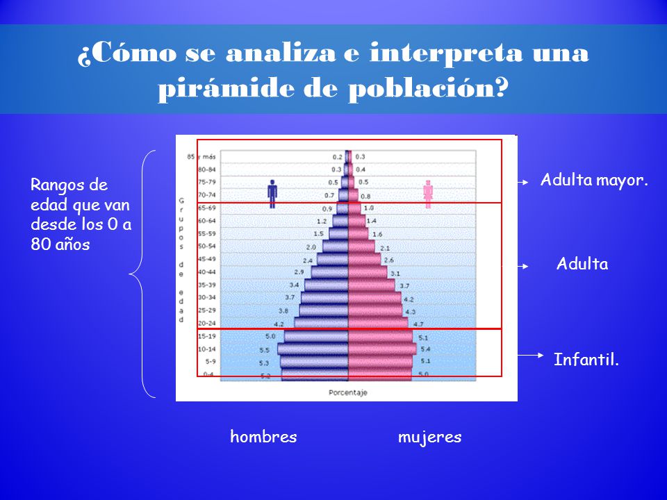 ¿Cómo se analiza e interpreta una pirámide de población