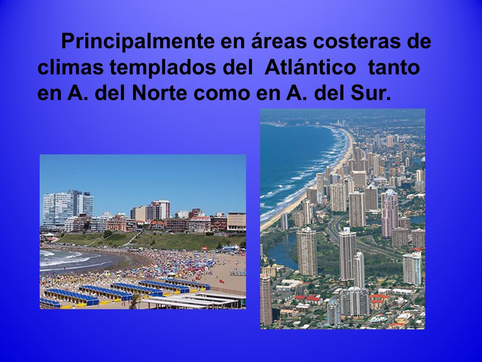 Principalmente en áreas costeras de climas templados del Atlántico tanto en A.
