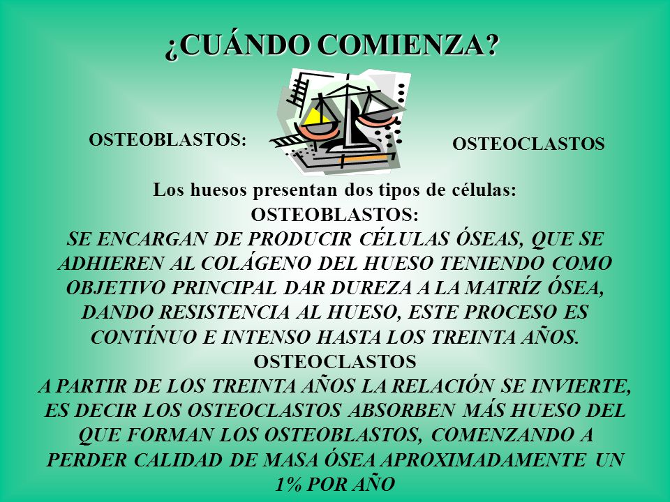 Los huesos presentan dos tipos de células:
