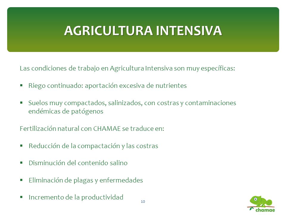 AGRICULTURA INTENSIVA