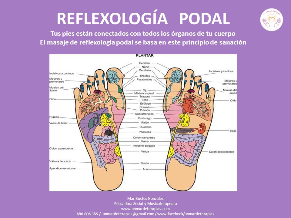 REFLEXOLOGÍA PODAL Tus pies están conectados con todos los órganos de tu cuerpo El masaje de reflexología podal se basa en este principio de sanación