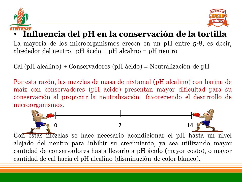 Influencia del pH en la conservación de la tortilla
