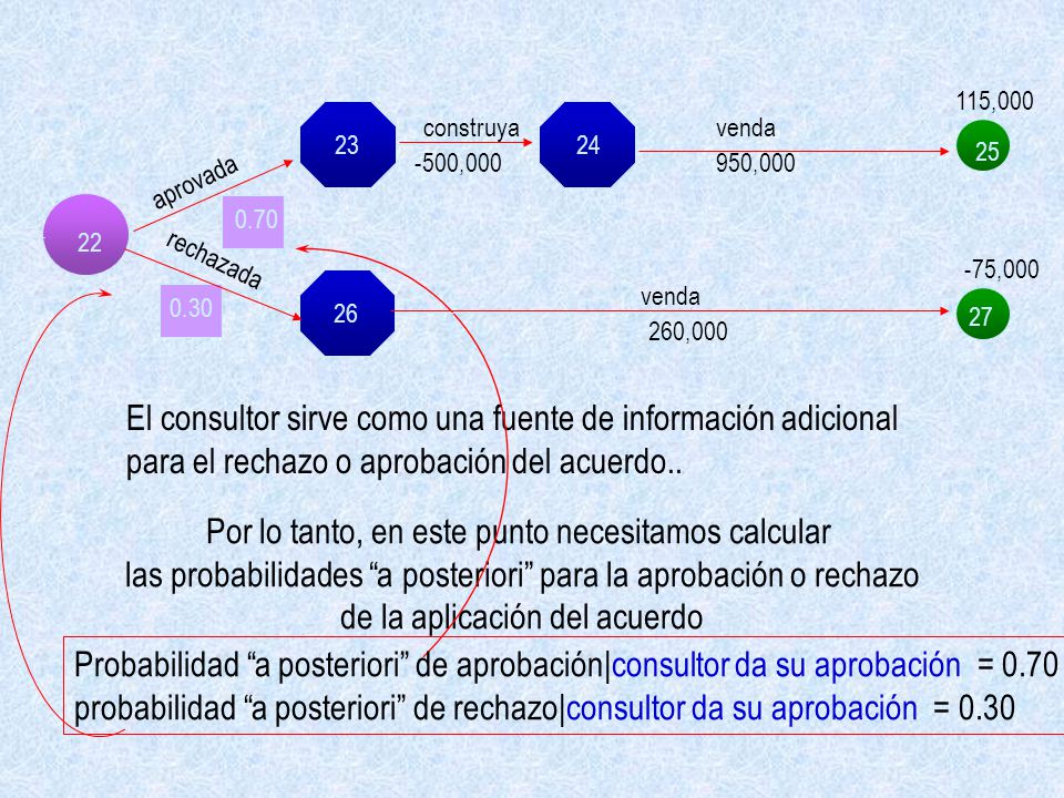 El consultor sirve como una fuente de información adicional