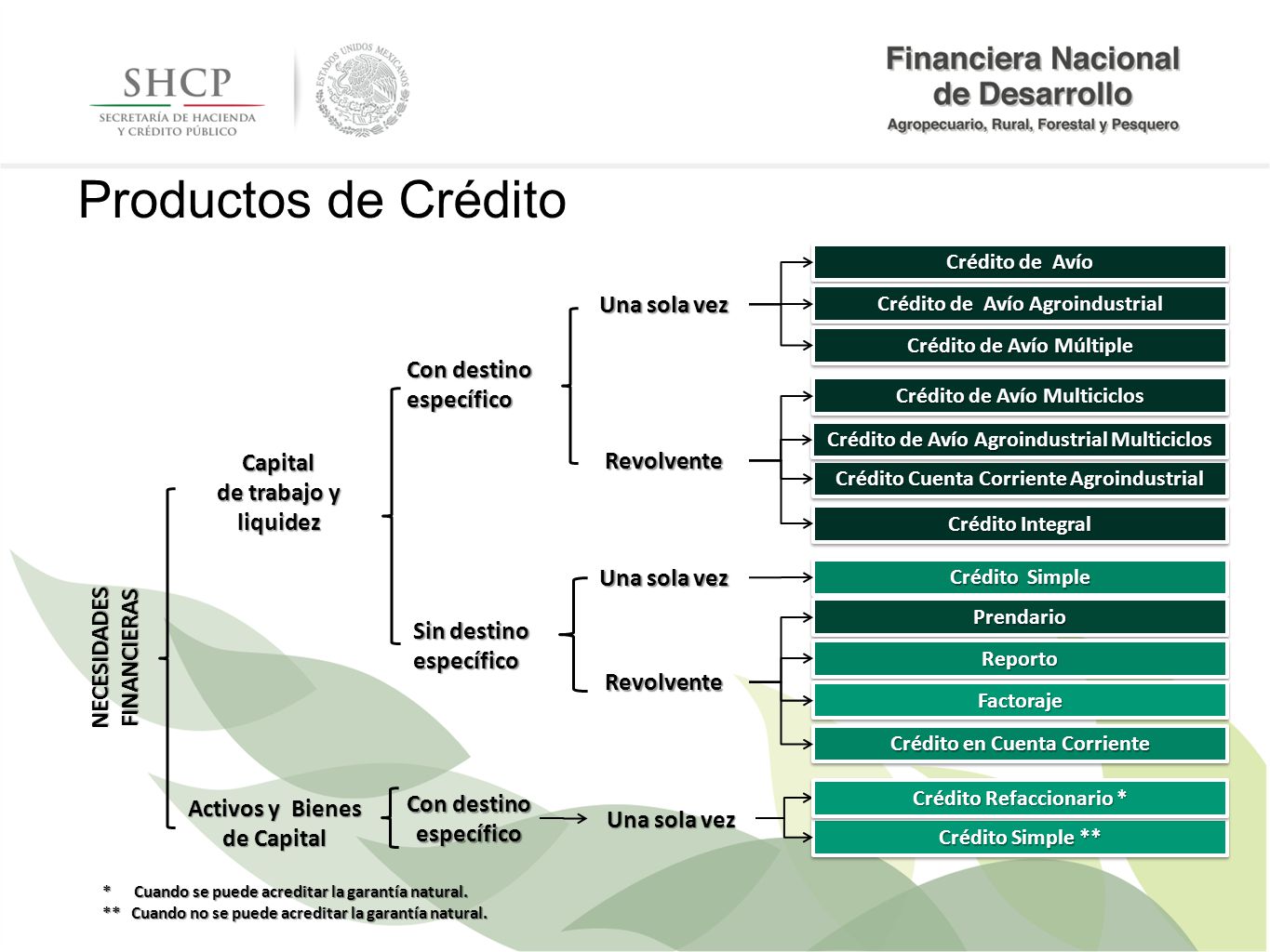 Productos de Crédito Una sola vez Con destino específico Capital