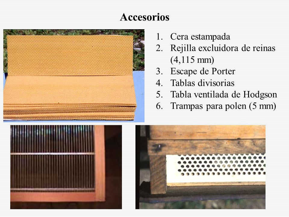 Accesorios Cera estampada Rejilla excluidora de reinas (4,115 mm)