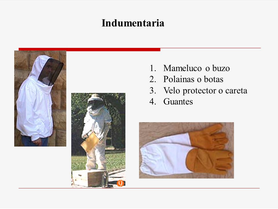Indumentaria Mameluco o buzo Polainas o botas Velo protector o careta