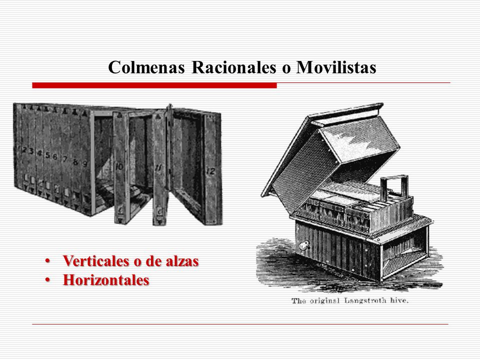 Colmenas Racionales o Movilistas