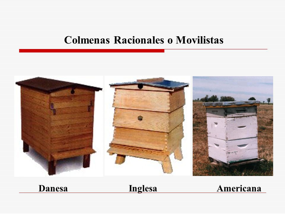 Colmenas Racionales o Movilistas