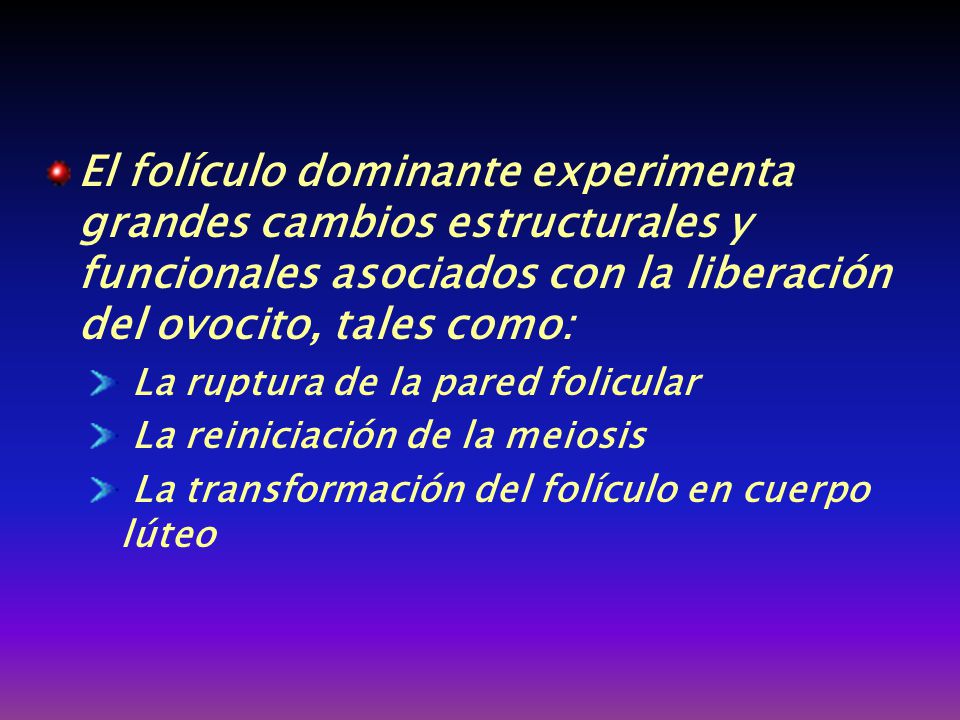 El folículo dominante experimenta grandes cambios estructurales y funcionales asociados con la liberación del ovocito, tales como: