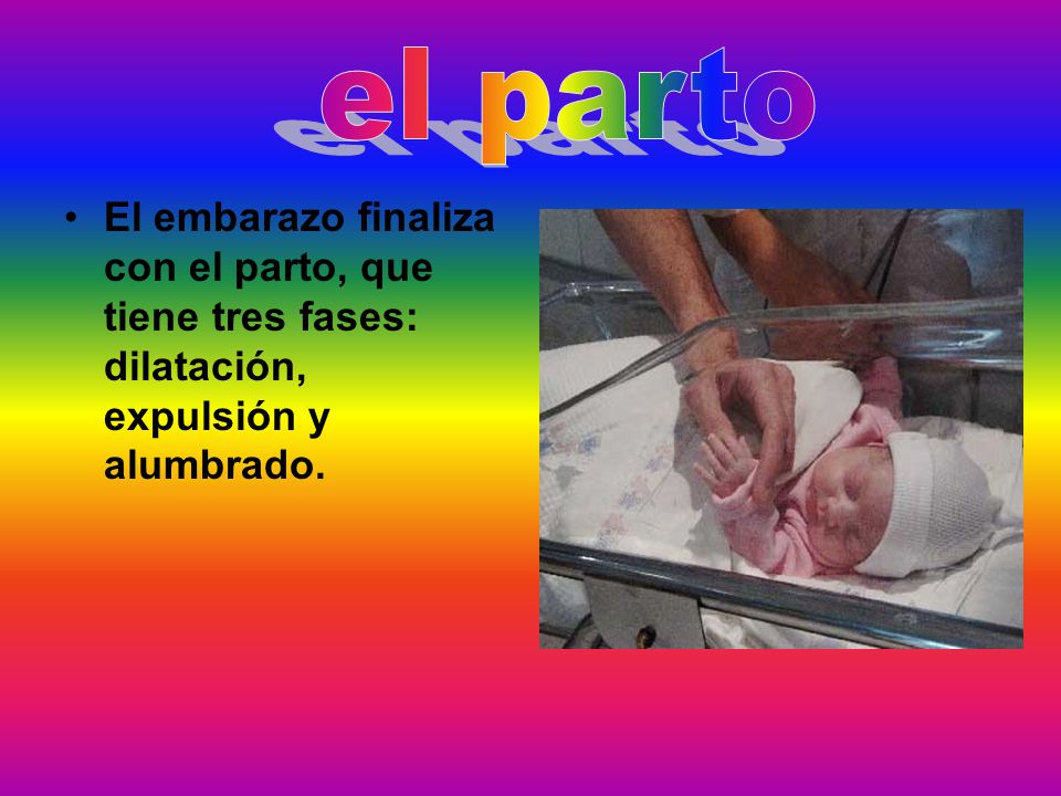 el parto El embarazo finaliza con el parto, que tiene tres fases: dilatación, expulsión y alumbrado.