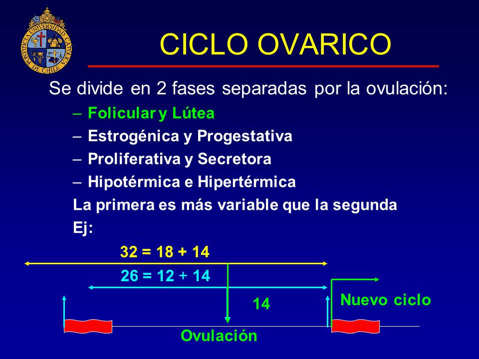 CICLO OVARICO Se divide en 2 fases separadas por la ovulación: