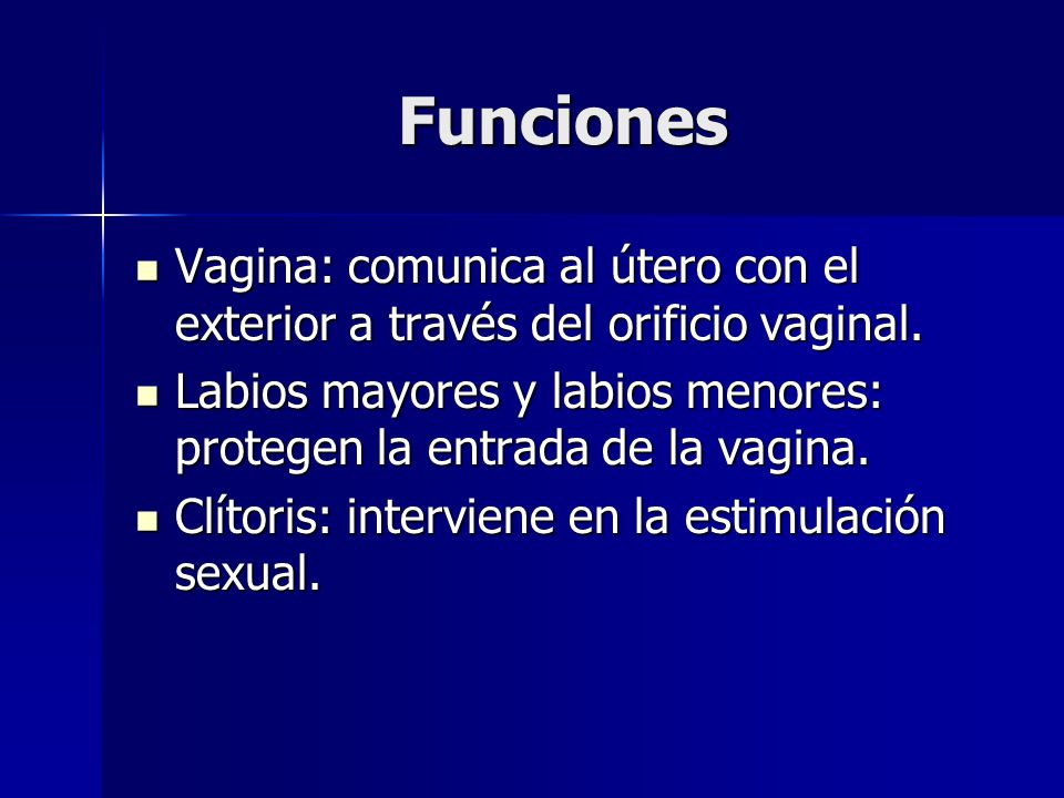 Funciones Vagina: comunica al útero con el exterior a través del orificio vaginal.