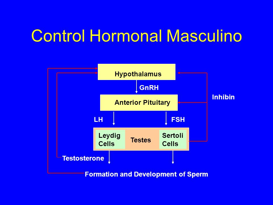 Control Hormonal Masculino