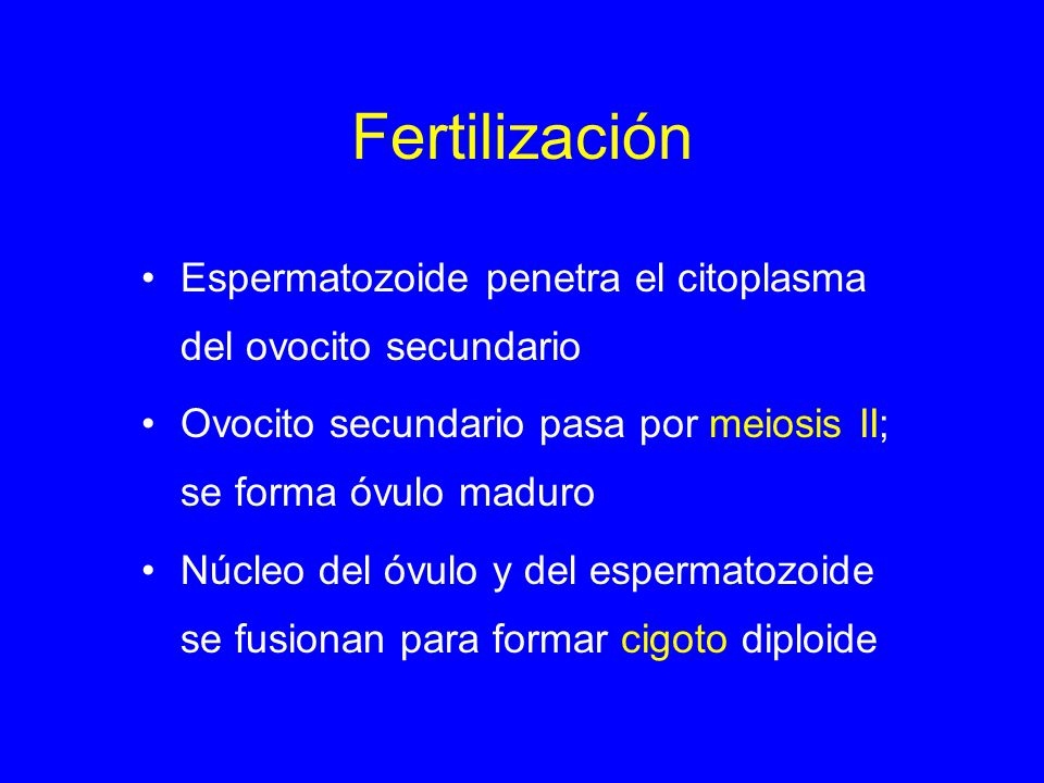Fertilización Espermatozoide penetra el citoplasma del ovocito secundario. Ovocito secundario pasa por meiosis II; se forma óvulo maduro.