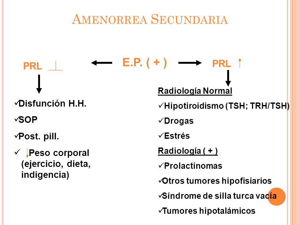 Amenorrea Secundaria E.P. ( + ) PRL PRL Disfunción H.H. SOP