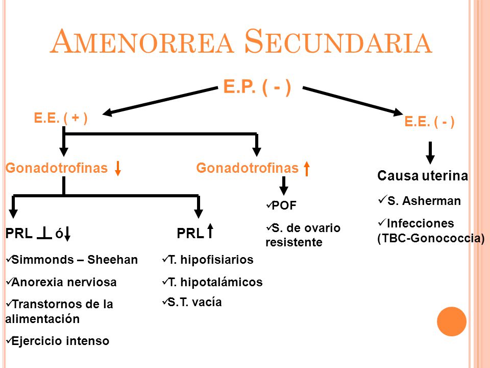 Amenorrea Secundaria E.P. ( - ) E.E. ( + ) E.E. ( - ) Gonadotrofinas