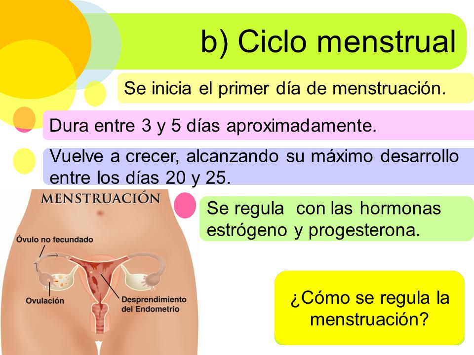 b) Ciclo menstrual Se inicia el primer día de menstruación.