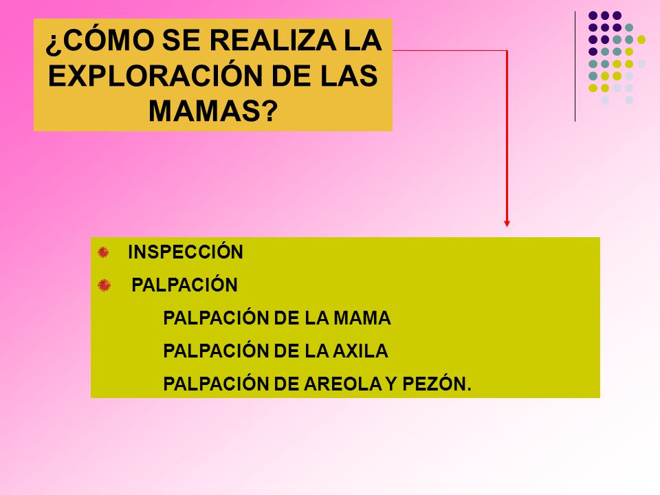 ¿CÓMO SE REALIZA LA EXPLORACIÓN DE LAS MAMAS