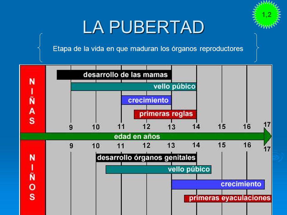 Etapa de la vida en que maduran los órganos reproductores