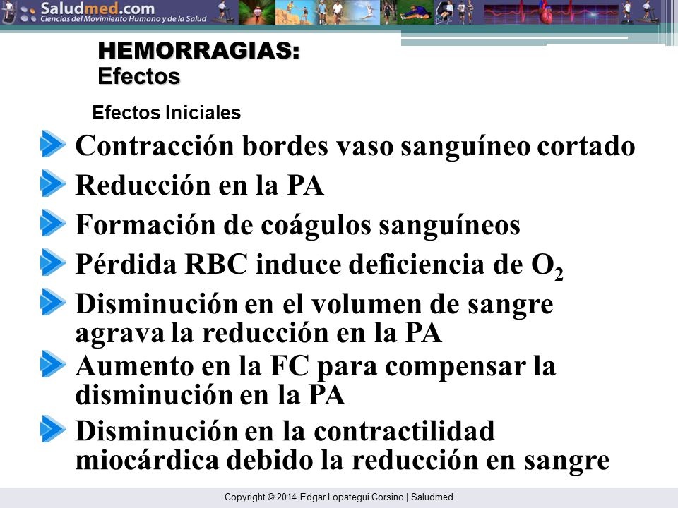 Contracción bordes vaso sanguíneo cortado Reducción en la PA