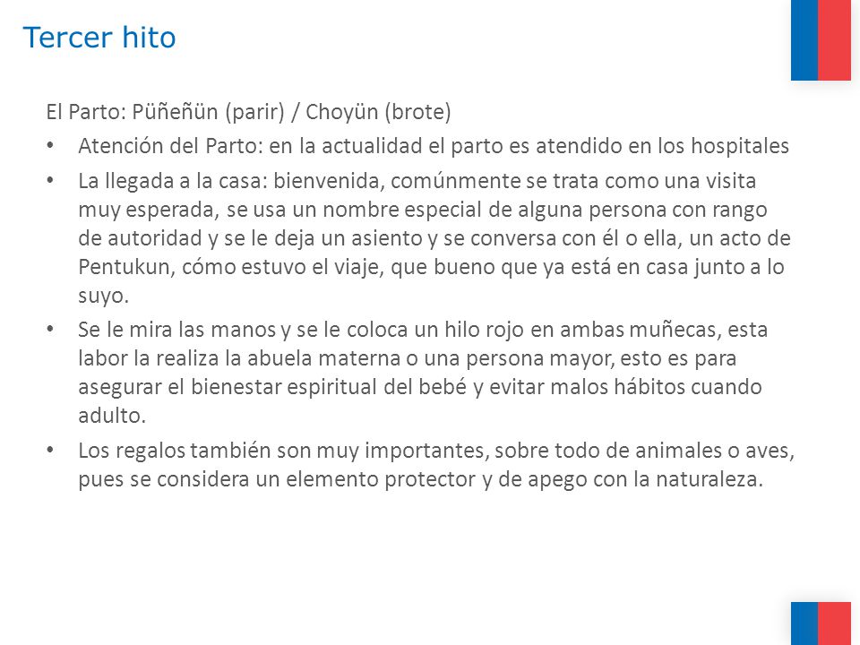 Tercer hito El Parto: Püñeñün (parir) / Choyün (brote)
