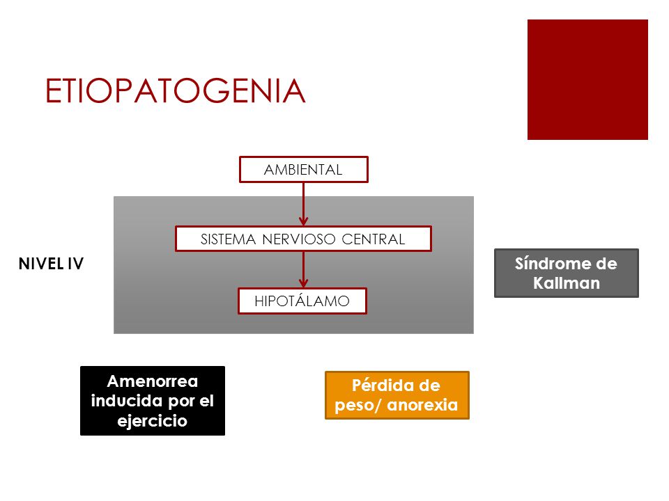 Amenorrea inducida por el ejercicio Pérdida de peso/ anorexia
