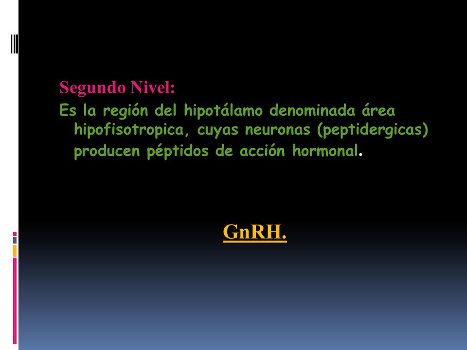 Segundo Nivel: Es la región del hipotálamo denominada área hipofisotropica, cuyas neuronas (peptidergicas) producen péptidos de acción hormonal.