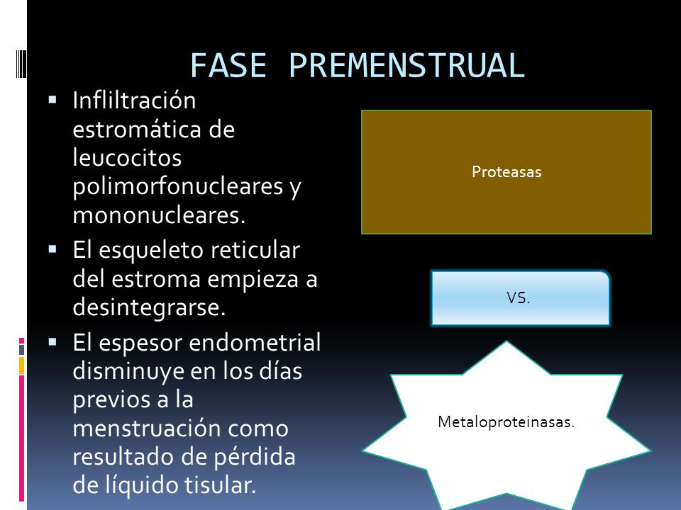 FASE PREMENSTRUAL Infliltración estromática de leucocitos polimorfonucleares y mononucleares.