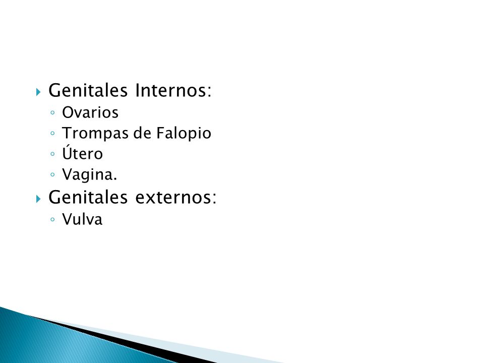 Genitales Internos: Genitales externos: Ovarios Trompas de Falopio