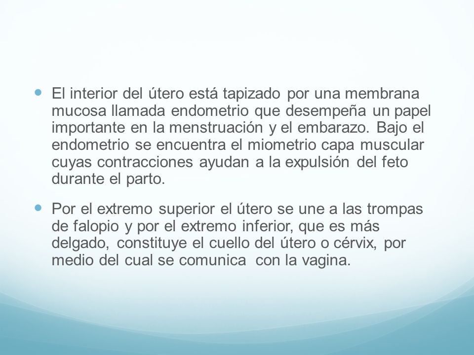 El interior del útero está tapizado por una membrana mucosa llamada endometrio que desempeña un papel importante en la menstruación y el embarazo. Bajo el endometrio se encuentra el miometrio capa muscular cuyas contracciones ayudan a la expulsión del feto durante el parto.