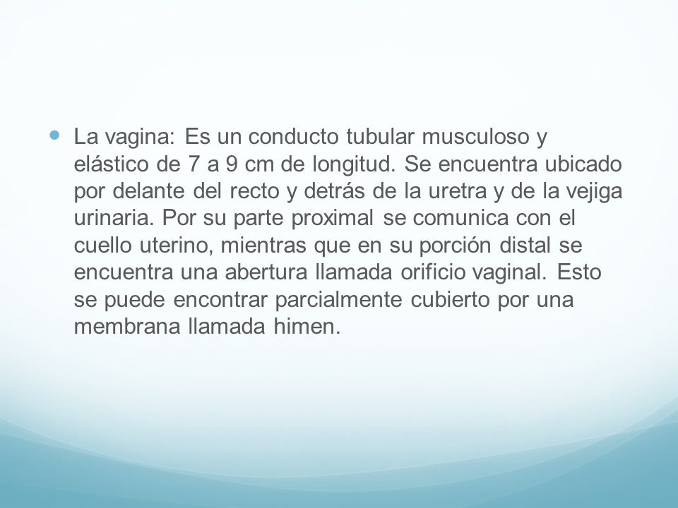 La vagina: Es un conducto tubular musculoso y elástico de 7 a 9 cm de longitud.