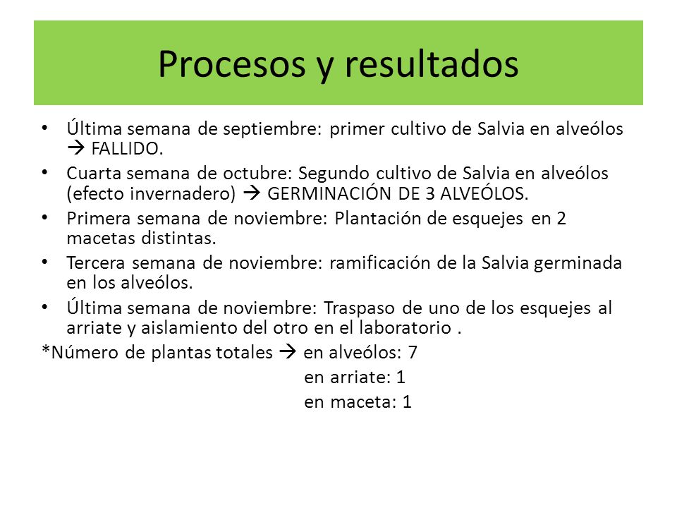 Procesos y resultados Última semana de septiembre: primer cultivo de Salvia en alveólos  FALLIDO.
