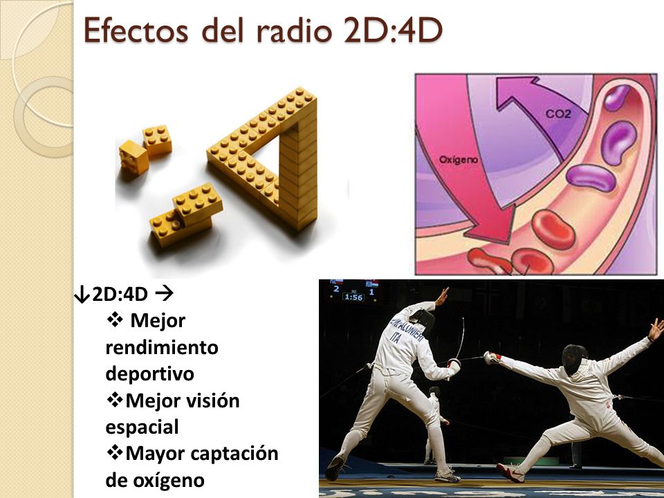 Efectos del radio 2D:4D ↓2D:4D  Mejor rendimiento deportivo