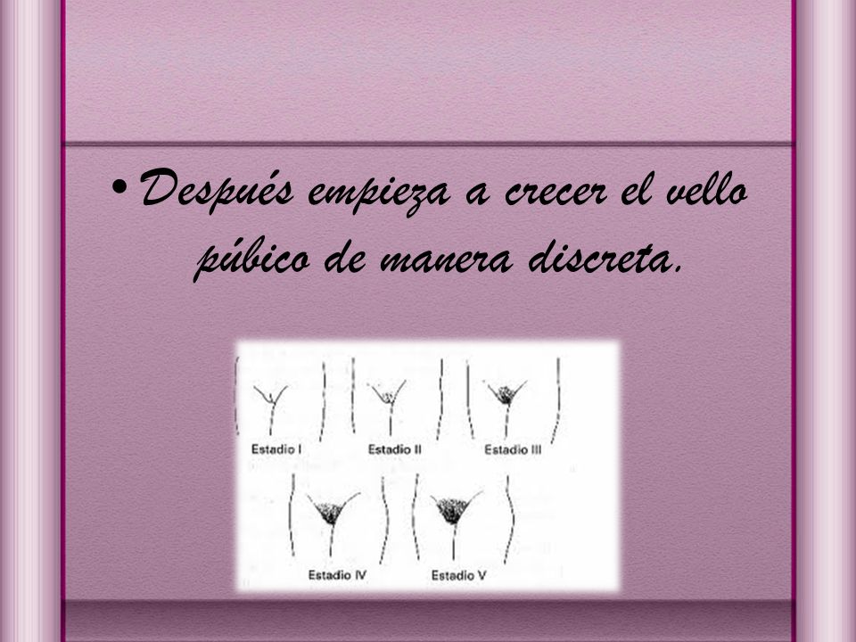 Después empieza a crecer el vello púbico de manera discreta.