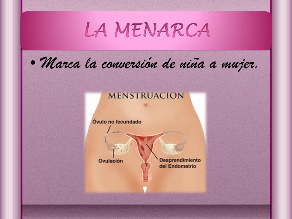 LA MENARCA Marca la conversión de niña a mujer.