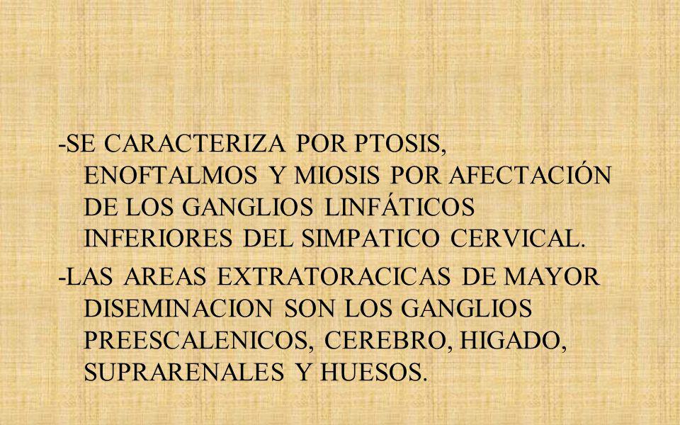 -SE CARACTERIZA POR PTOSIS, ENOFTALMOS Y MIOSIS POR AFECTACIÓN DE LOS GANGLIOS LINFÁTICOS INFERIORES DEL SIMPATICO CERVICAL.