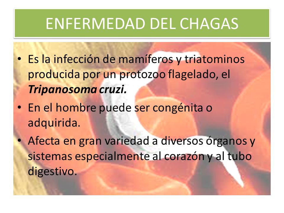 ENFERMEDAD DEL CHAGAS Es la infección de mamíferos y triatominos producida por un protozoo flagelado, el Tripanosoma cruzi.